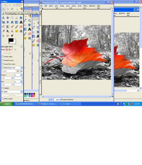 Image result for Colour Splash Tutorial