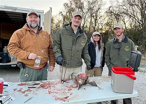 CWD Sampling 的图像结果