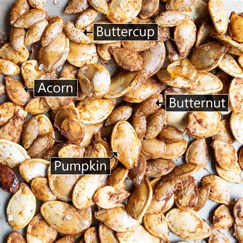 Honeynut squash - everything you need to know
