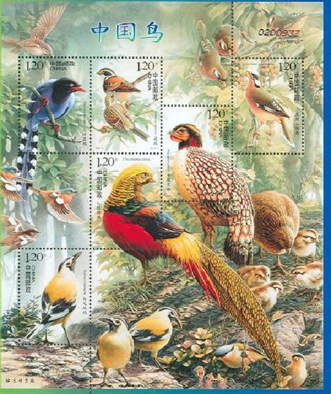 《中国鸟》特种邮票首发式在动物研究所举行----中国科学院动物研究所
