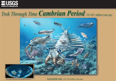 The Early Paleozoic and Its Mass Extinctions – The Earth: How Much Do ...