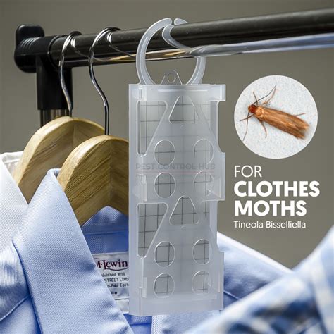 Image result for Cloth Moth Control
