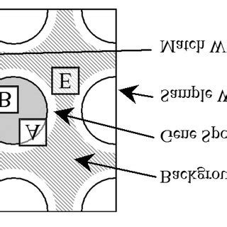 Image result for IRT Data Collection Practice Video