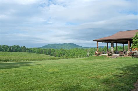 Discover Yadkin Valley And The Surry County Wine Trail | Alcohol Professor