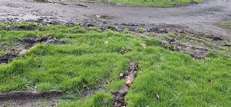 THE MARLBANK INN CAMPSITE (Welland) - Campground Reviews & Photos ...