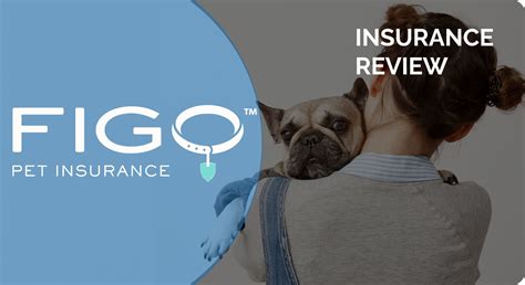 Figo Pet Insurance Bbb - Life Insurance Quotes