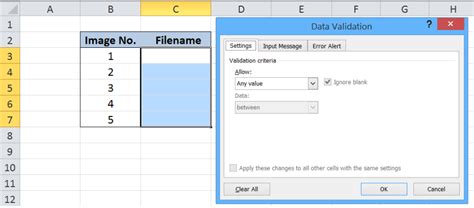 Image result for Data Validation for Text Only