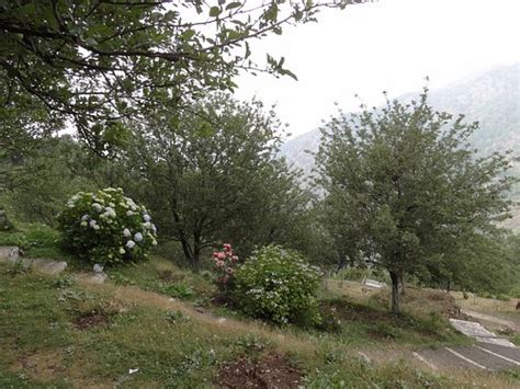 APPLE ORCHARD RESORT (Kempty Range) - Hotel Reviews, Photos, Rate ...