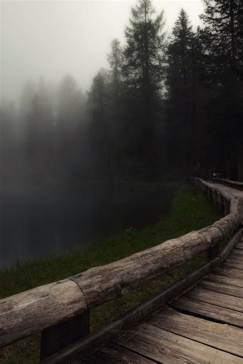 Download wallpaper bridge, fog, lake, section nature in resolution 640x960