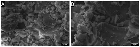 Immobilised rGO/TiO2 Nanocomposite for Multi-Cycle Removal of Methylene ...