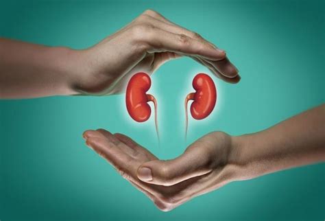 किडनी इन्फेक्शन के लक्षण, कारण, इलाज और बचाव - Kidney Infection in Hindi