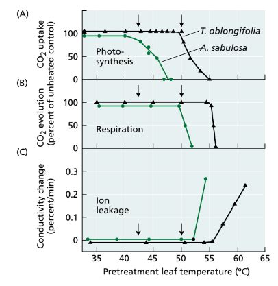 Stress Physiology - UPSC PDF Download