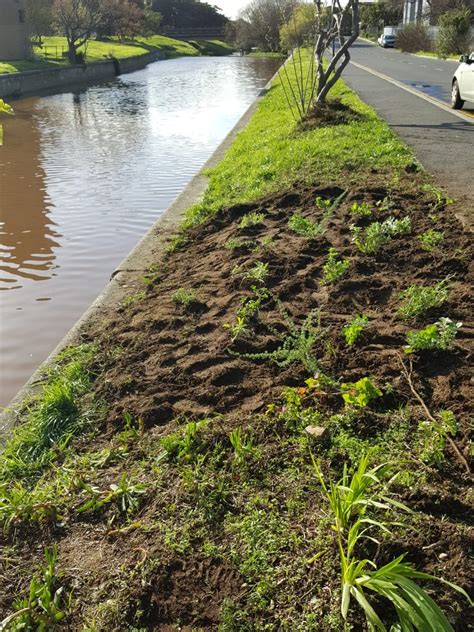 Communitree - St Georges Liesbeek Patch - Site #103