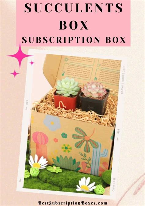 Image result for Healthy Subscription Box