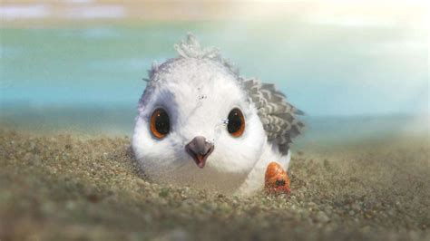 Pixar's Short Films, Ranked | Pixar shorts, Piper pixar, Pixar