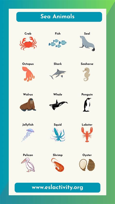 Water Animals Names in English | Sea & Aquatic Animals List