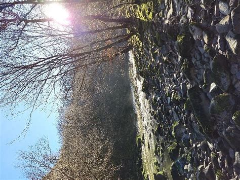 GORGES DU CHER (2026) All You Need to Know BEFORE You Go (with Photos ...