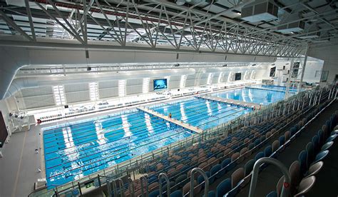 Pool Competitions 的图像结果