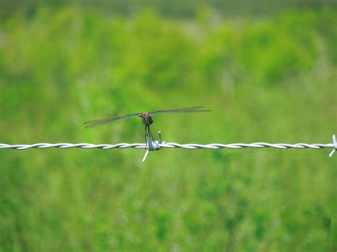 Home | Hardee County Property Appraiser