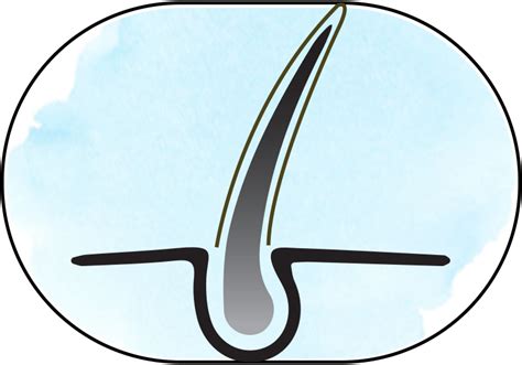 3-Step Natural Hair Colour Kit – Sesa Care