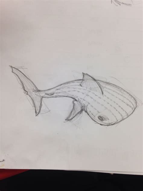 Whale Shark Drawing Easy - Kids Drawing Lessons