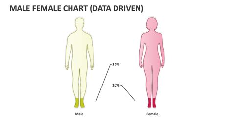 Male Female Chart in Excel 的图像结果