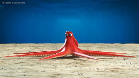 3D Octopus Cartoon Character Rigged for Maya | 3D Molier International