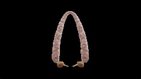 3D Anatomy Model of Vulva