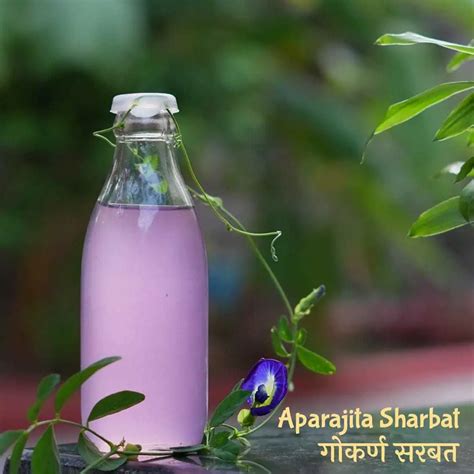 Rustom Rice, Deccan Gymkhana, Pune | Zomato