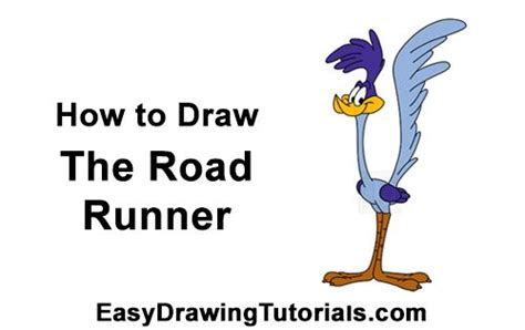 Road Runner Cartoon Drawing 的图像结果