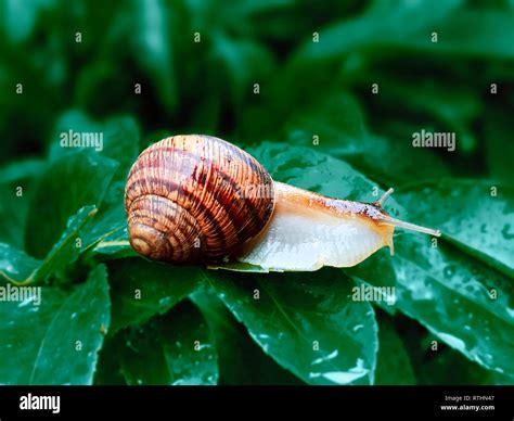 Image result for Sequence Range in Python
