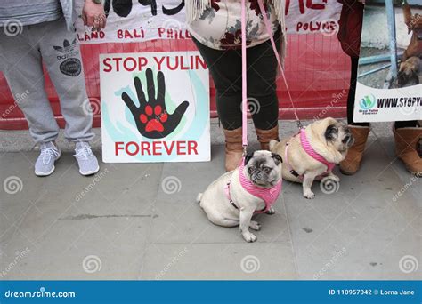 Yulin Dog Festival Protestors Chinese New Year, Year of the Dog London ...