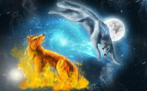 Fox and Wolf Wallpapers - Top Free Fox and Wolf Backgrounds ...