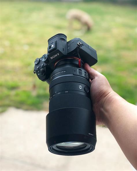 Camera Types 的图像结果