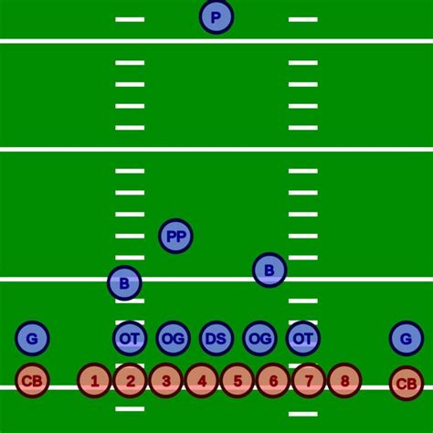 Image result for Long Snapper Training