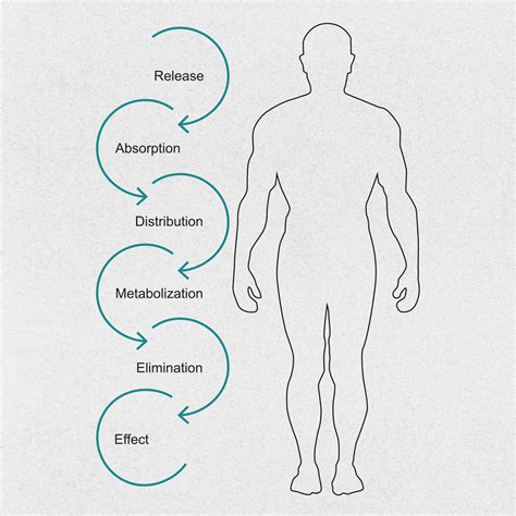 Image result for Flow through Cell Dissolution Method