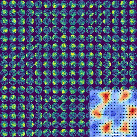 Image result for Center of Diffraction Pattern
