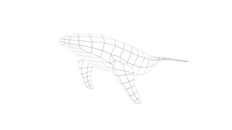 Image result for Whale 3D Tutorial SolidWorks