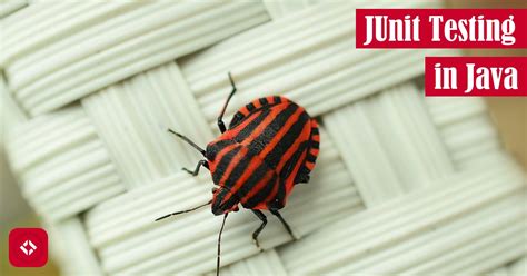 Image result for Using JUnit for Testing in Java