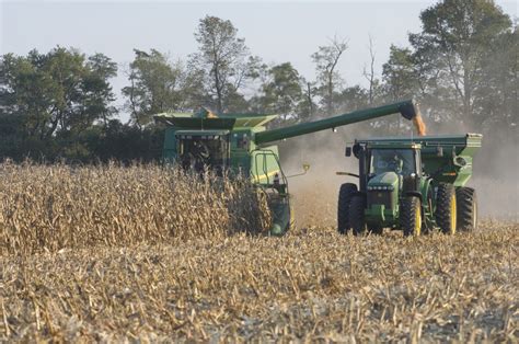Corn Field Harvested In Ohio