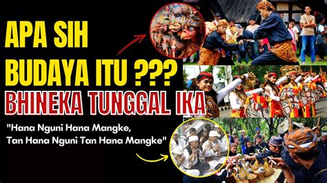 budaya itu apa
