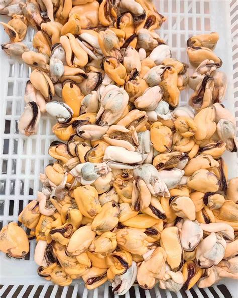 Image result for Recipes Using Frozen Mussel Meat