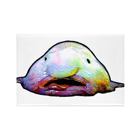 Image result for Python-Matplotlib Color Map