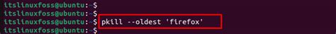 Pkill Command in Linux 的图像结果