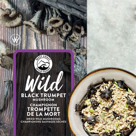 Sautéed wild black trumpet mushrooms – West Coast Wild Foods