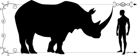 Size Of Rhinoceros