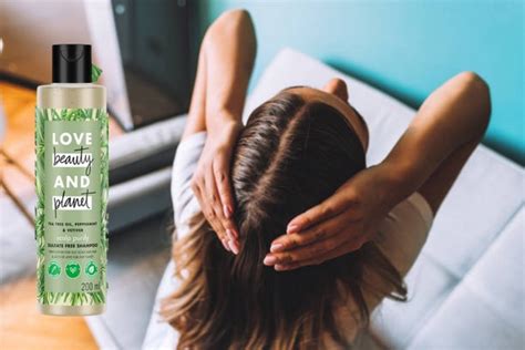 Best Tips on Sulphate-Free Shampoo: What You Should Know!