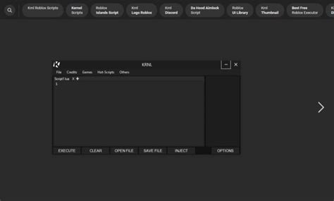 How to Do Exploit Script in Roblox 的图像结果