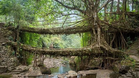 One Incident Doesn’t Define Meghalaya: Why This Northeast Gem Is Still ...