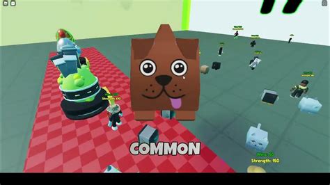 Image result for Oof Run Script